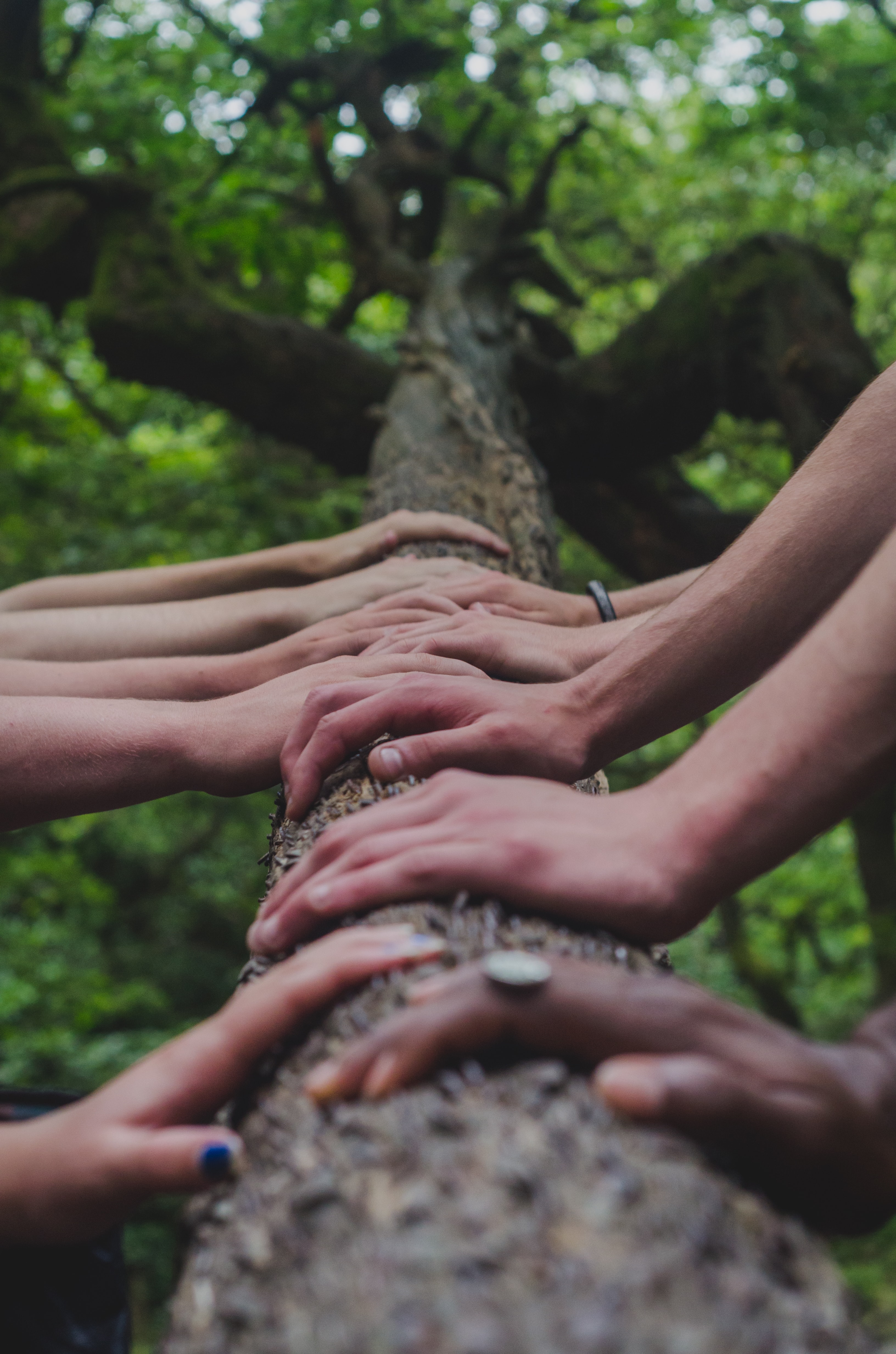 Grow Together